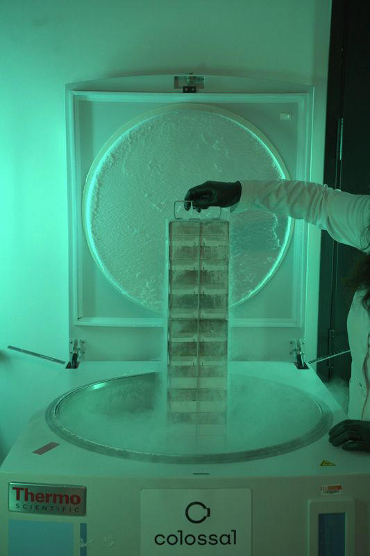 The plan to collect and save the DNA of everything on the endangered ...