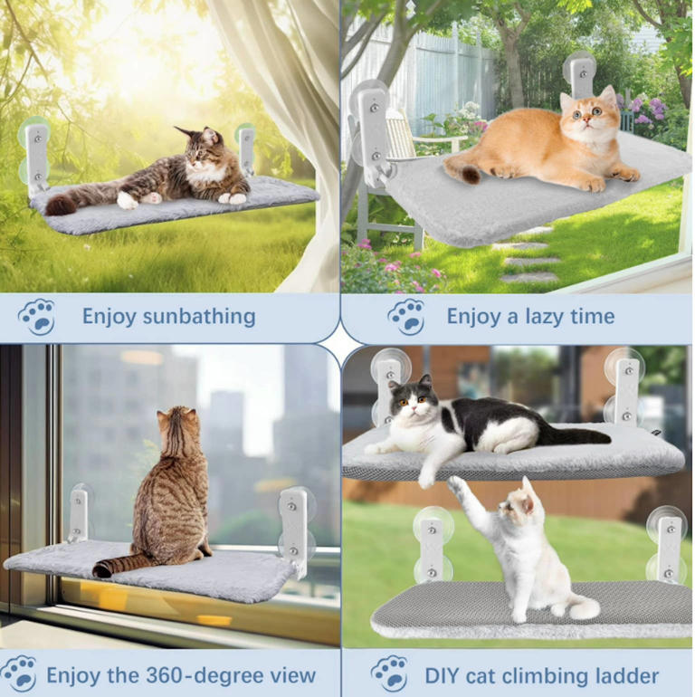 Walmart's $16 window perch turns any room into your cat's favorite bird ...