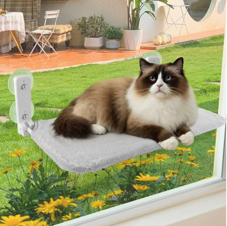 Walmart's $16 window perch turns any room into your cat's favorite bird ...