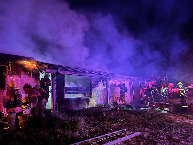3 dogs die, 1 rescued in house fire in SE Portland