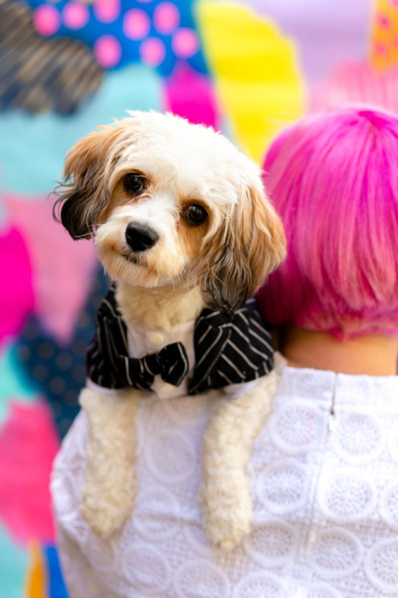 Dogs rarely complain - that's why these 10 warning signs matter so much 9