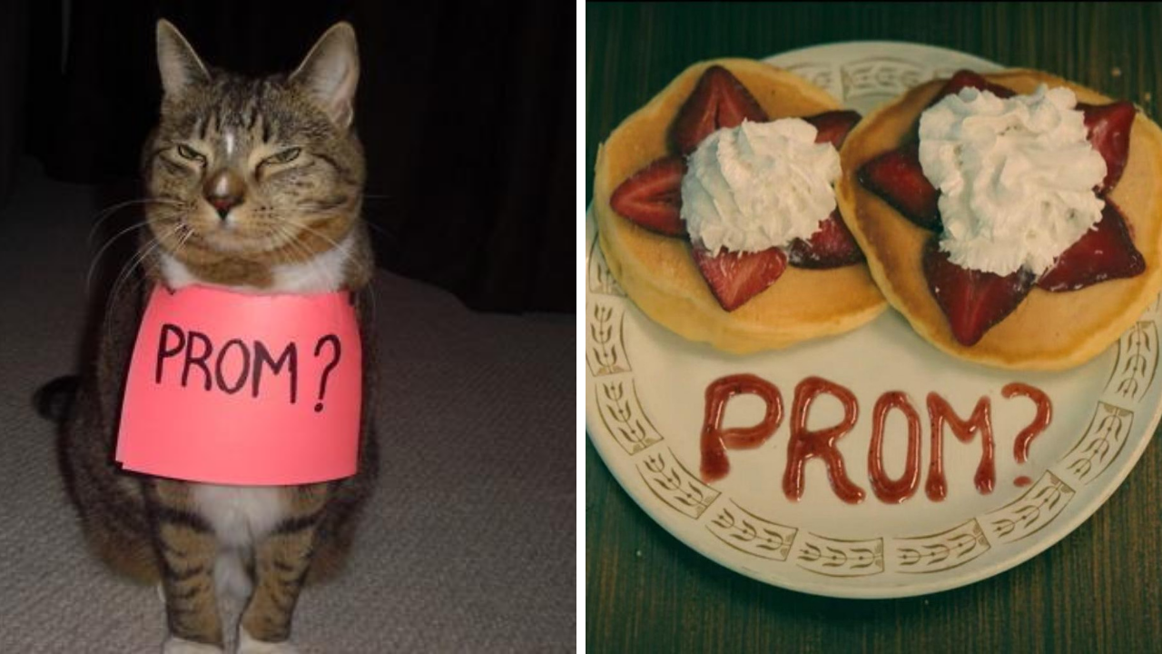 25 of the most creative promposals ever