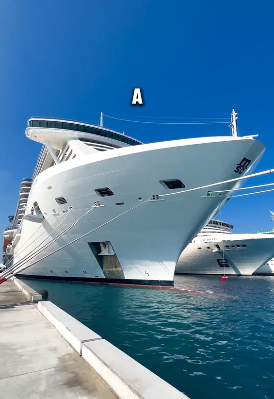 The price to build a mega cruise ship: Inside billion-dollar floating ...