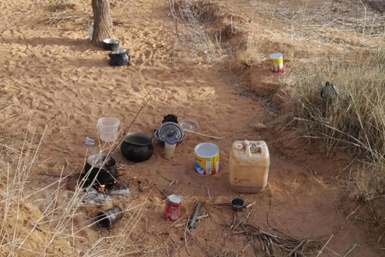 Escaping Darfur: Mothers face starvation under trees in Chad