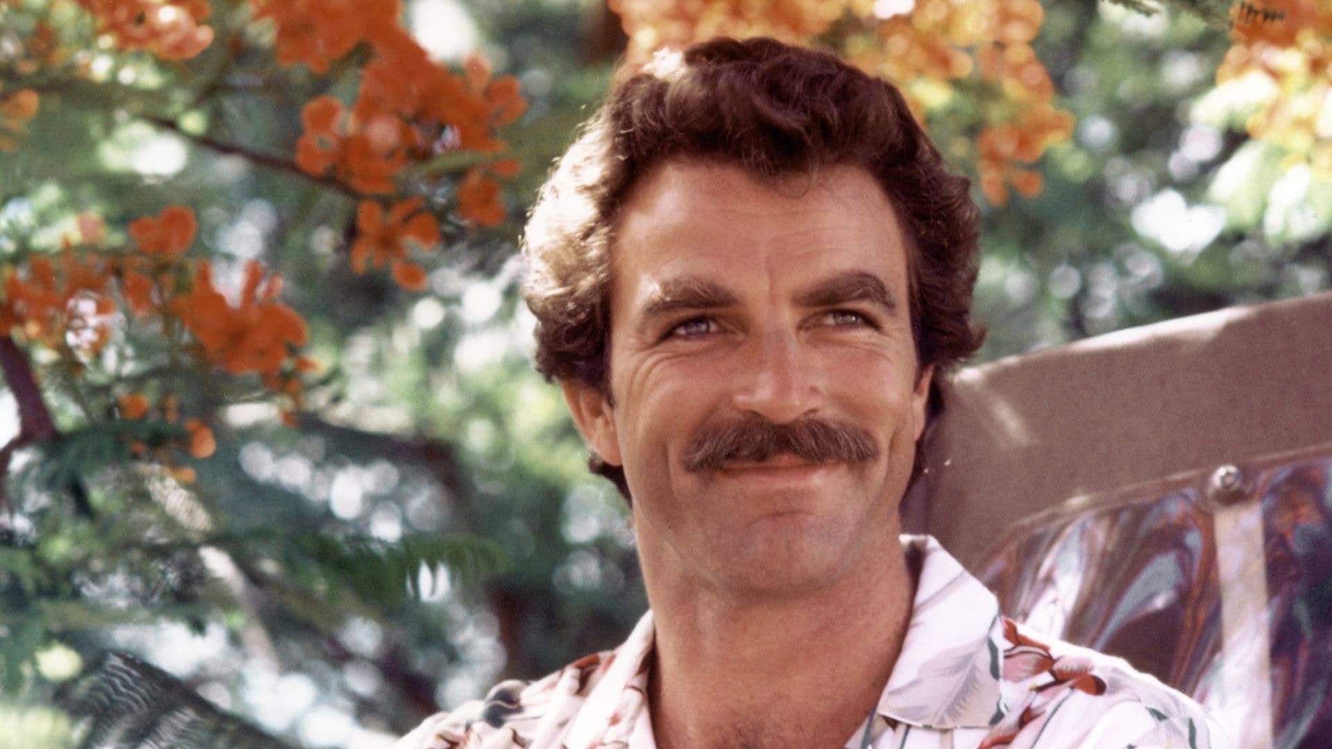 These 8 TV detectives were once household names – where are they now?