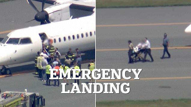 Plane forced to land as pilot suffers incapacitating incident