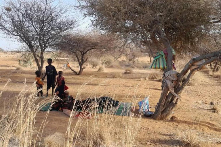 Escaping Darfur: Mothers face starvation under trees in Chad