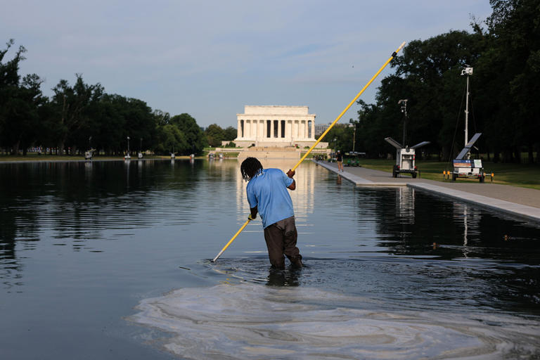 Trump’s pool guys hit with probe for reflecting pool slime debacle
