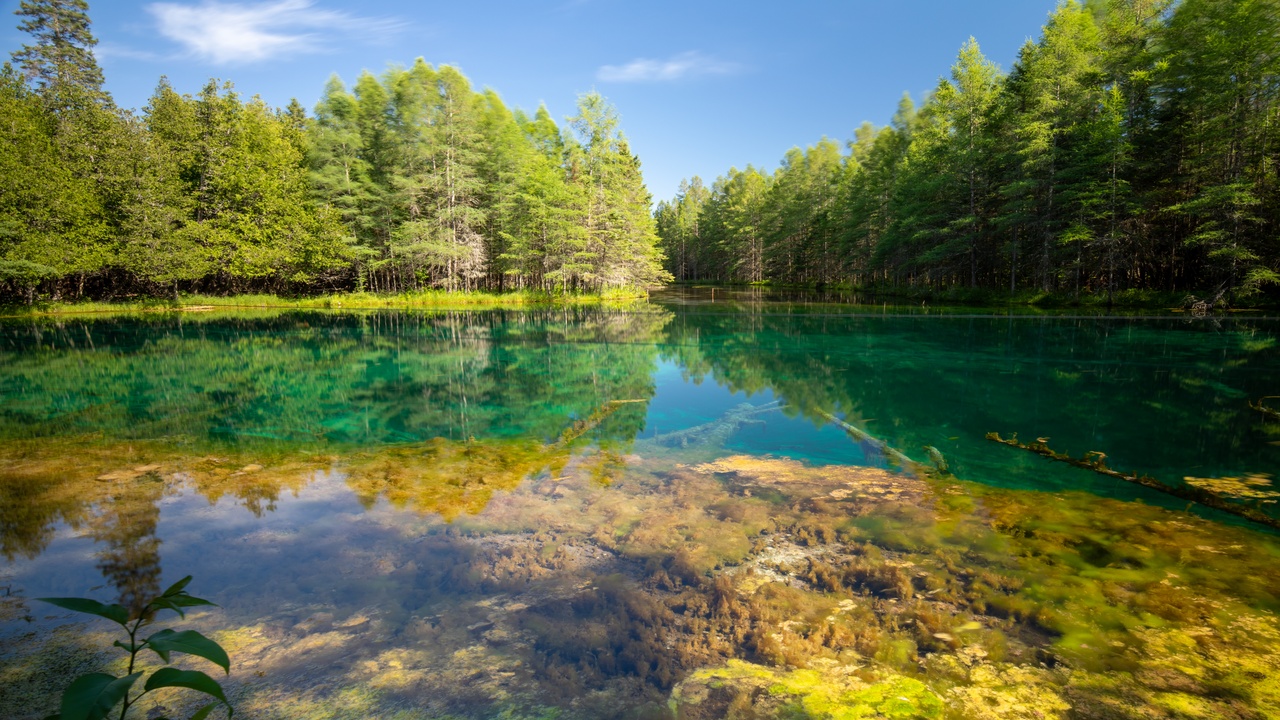 Pull yourself across this emerald Michigan spring on a hand-powered ...