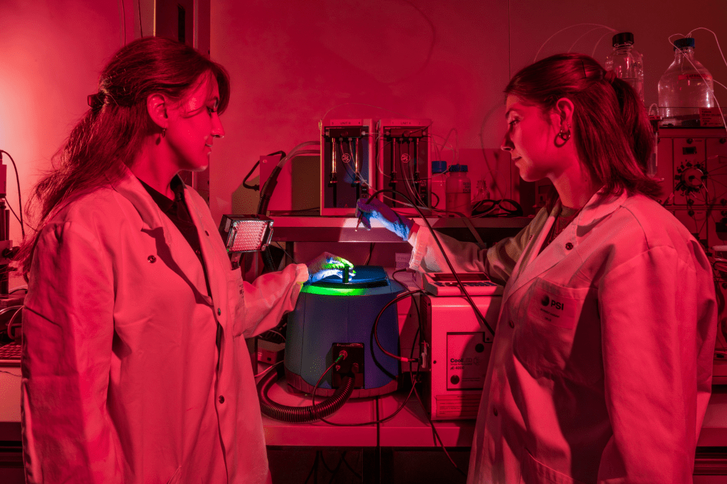 Scientists reveal the secret structure that lets us see color