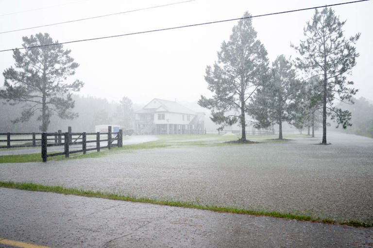 GA rainfall way above average lately. How that's hurting your yard ...