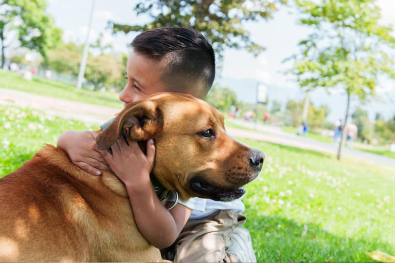 Why hugging your dog may be doing more harm than good