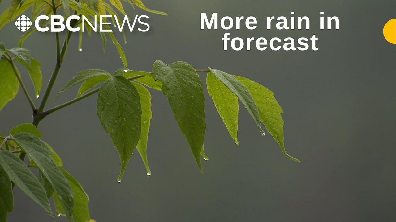 More heavy rain expected for Edmonton area after days of overland flooding