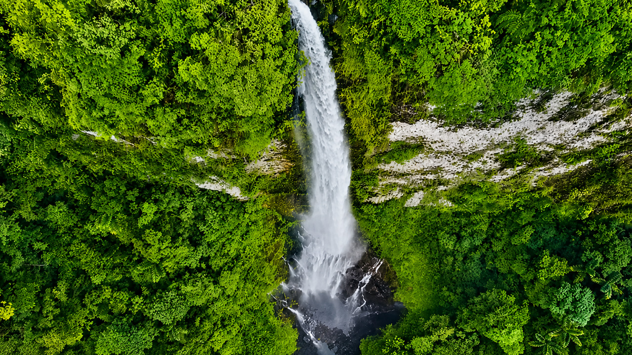 A hidden waterfall deep inside a tropical rainforest