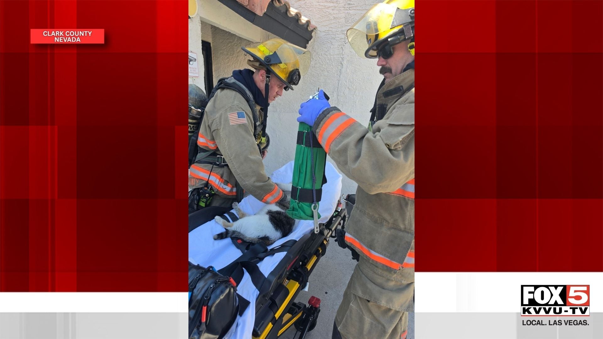 Six displaced, two cats rescued following Las Vegas apartment fire near ...