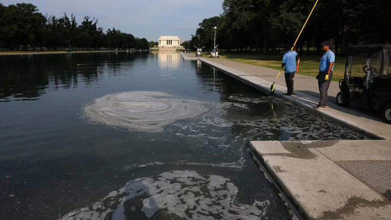 US Park Police seek help identifying vandal of Reflecting Pool amid ...