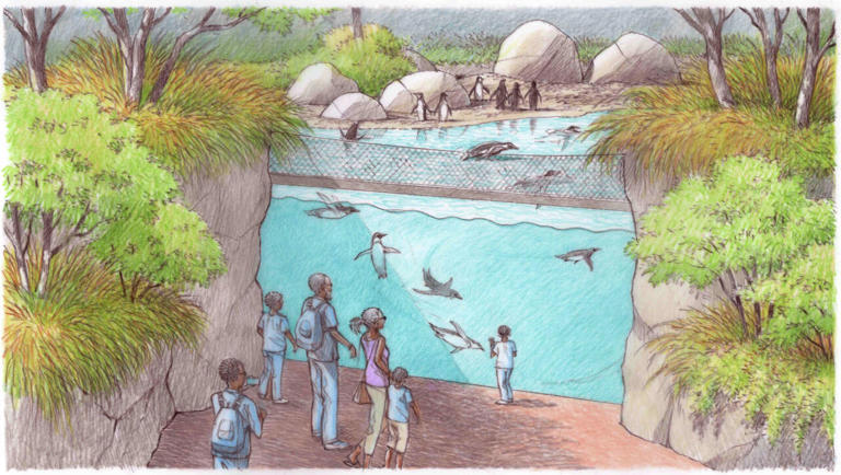 Massive safari-esque attraction to break ground at Dallas Zoo