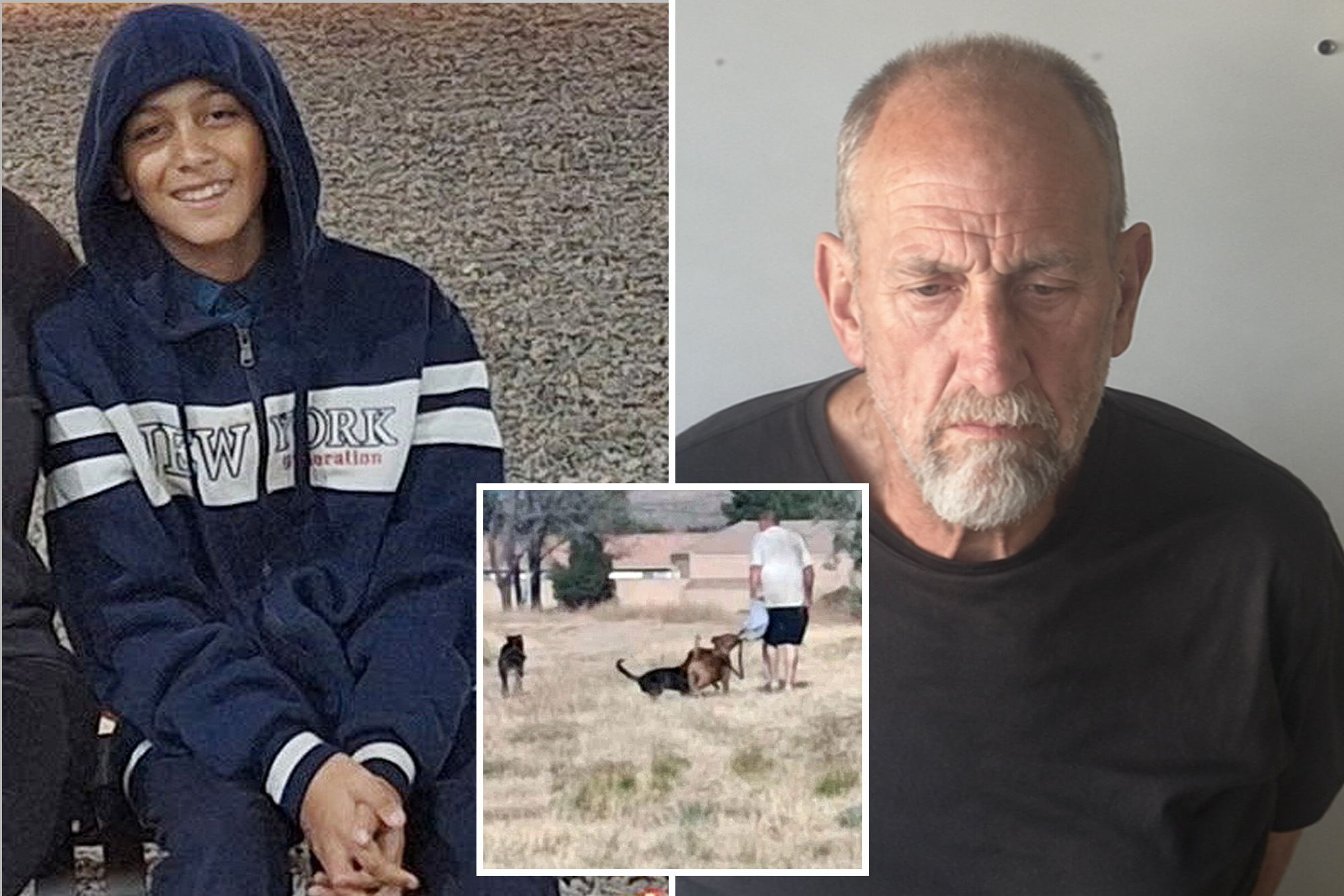 Owner of vicious dogs arrested after aggressive pack chased boy to his ...