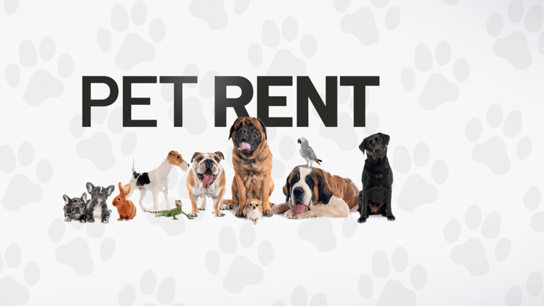 Hate pet rent fees? San Diego city leaders to consider ordinance that ...