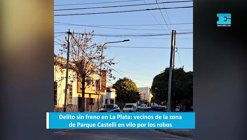 Delito sin freno en La Plata: vecinos de la zona de Parque Castelli en ...