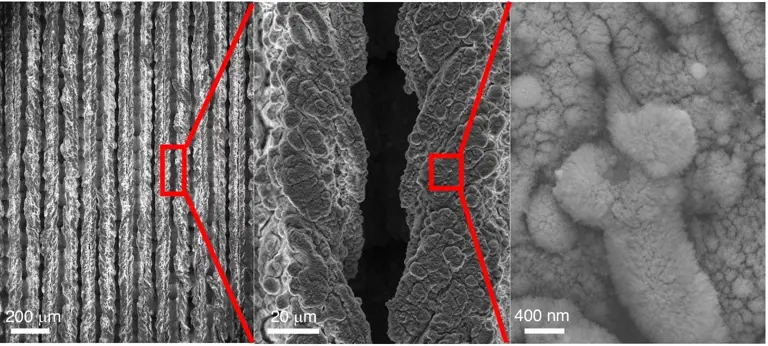 Solar desalination breakthrough converts ocean water into clean, waste ...