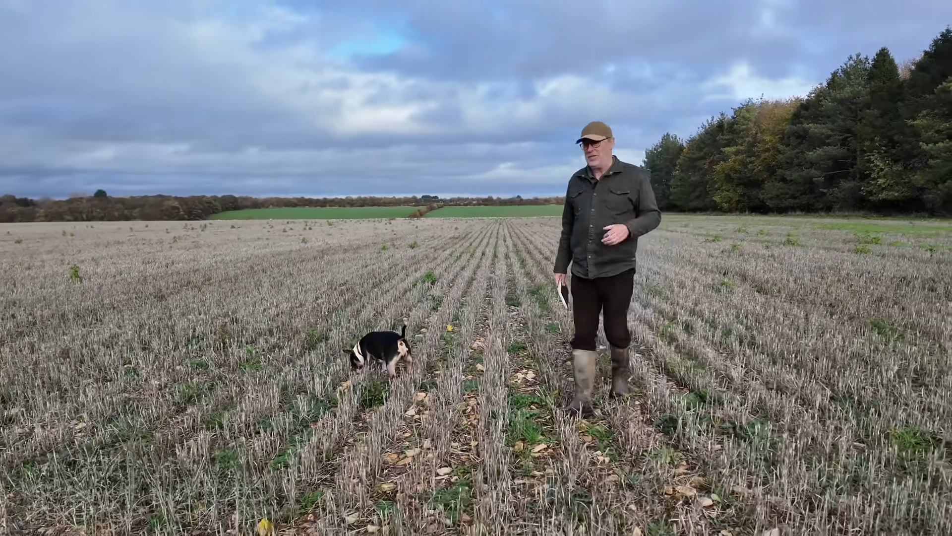 Why growing nothing is saving failing modern farms
