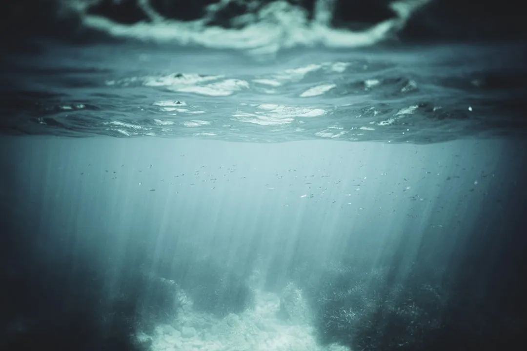 How Scientists Measure Water Clarity (Image Credits: Unsplash)