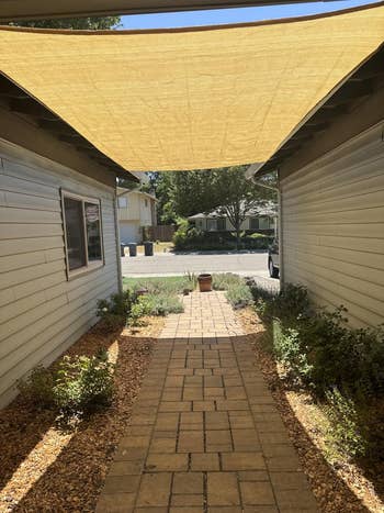 Pathway between two houses leading to a street, shaded by a canopy, with plants along the sides