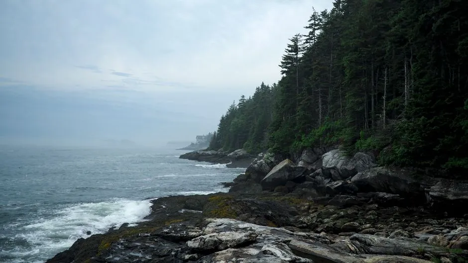 The Midcoast Towns at the Center of It All (Image Credits: Pexels)