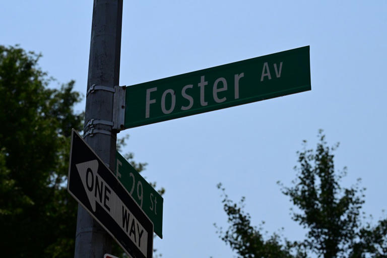 Woman found fatally shot in neck inside NYC home in apparent domestic ...