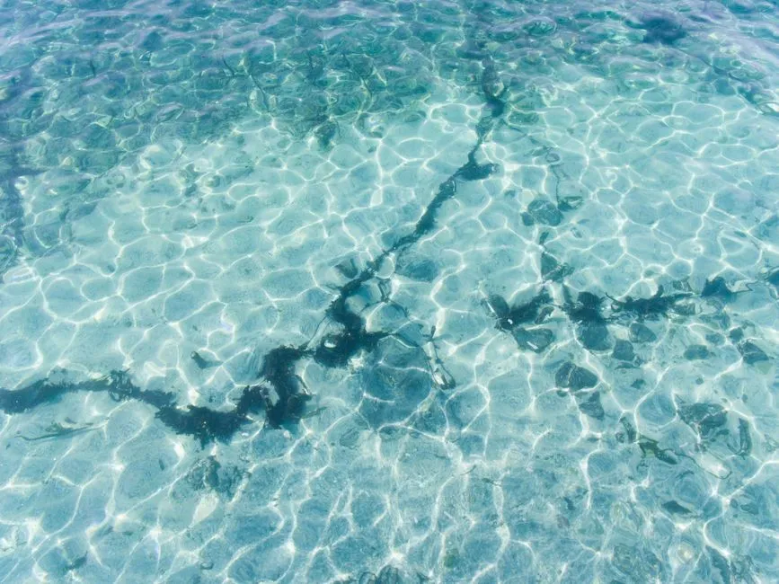 Is this secret lake in Maine actually the deepest, clearest water in New England?
