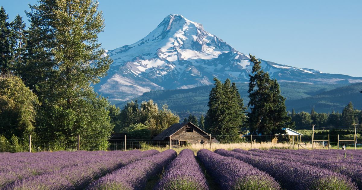 5 charming Oregon towns surrounded by outdoor adventure