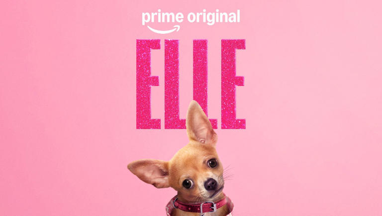 Estrenos de Prime Video en julio de 2026: Todas las nuevas series y ...