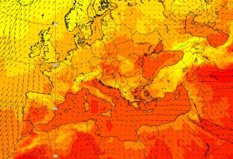 Temperatura del Mediterráneo Cuanto más rojo, más calor.