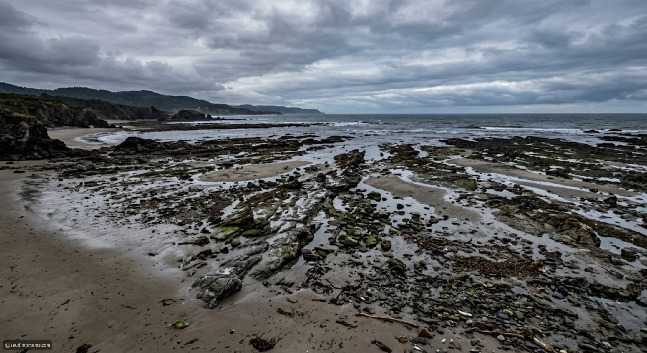 The warning signs of nature before a disaster occurs