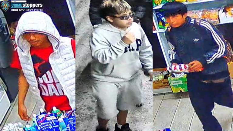 NYC deli worker stabbed repeatedly while trying to stop trio from ...