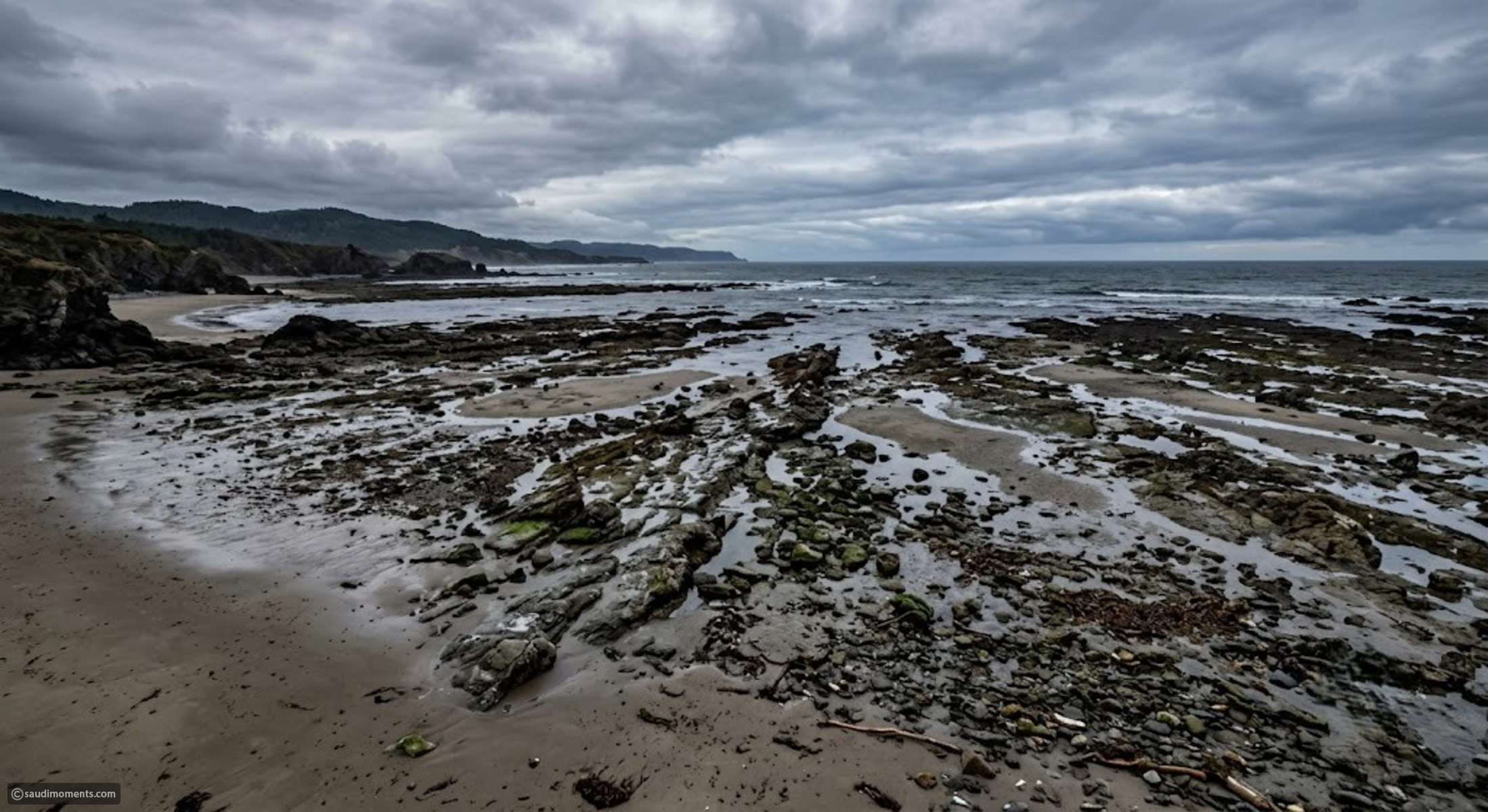 The warning signs of nature before a disaster occurs