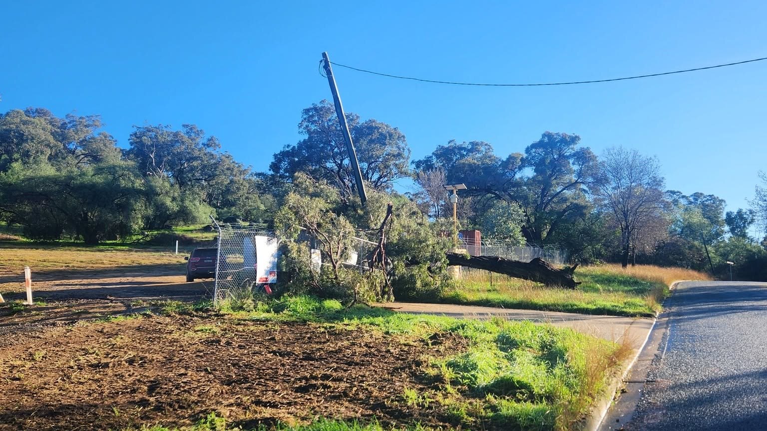 Man dies after car hits fallen tree following severe storms near Cowra