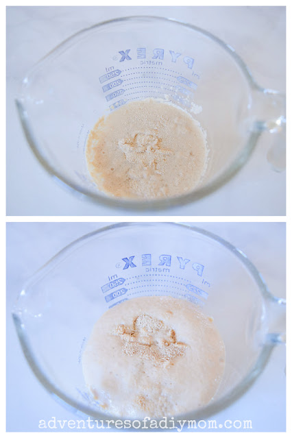 collage of before and after images of yeast rising