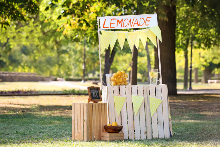 3 young brothers were told they’d have to pay $400 to set up a lemonade ...