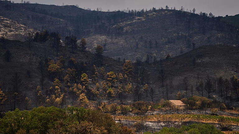 Comienza la temporada de incendios: el sur de Francia se declara en alerta