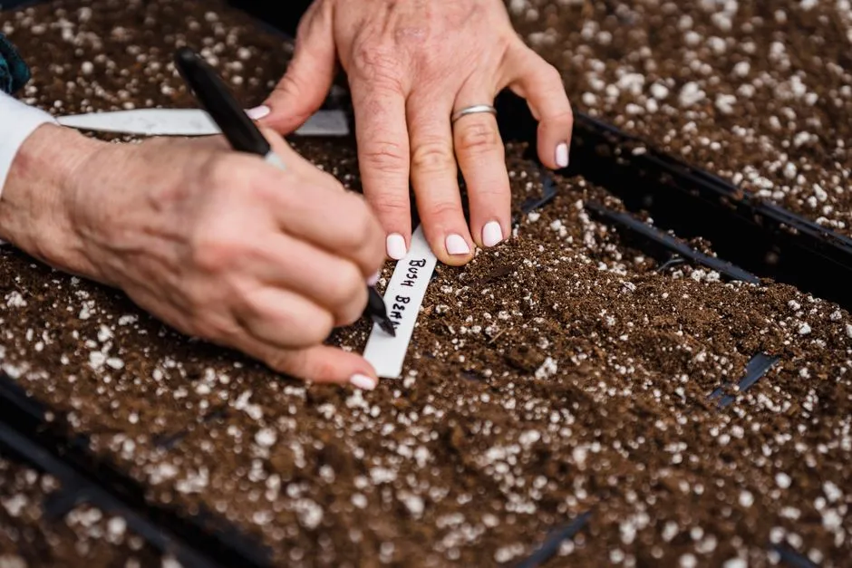 6 surprising household items you can upcycle into free plant markers