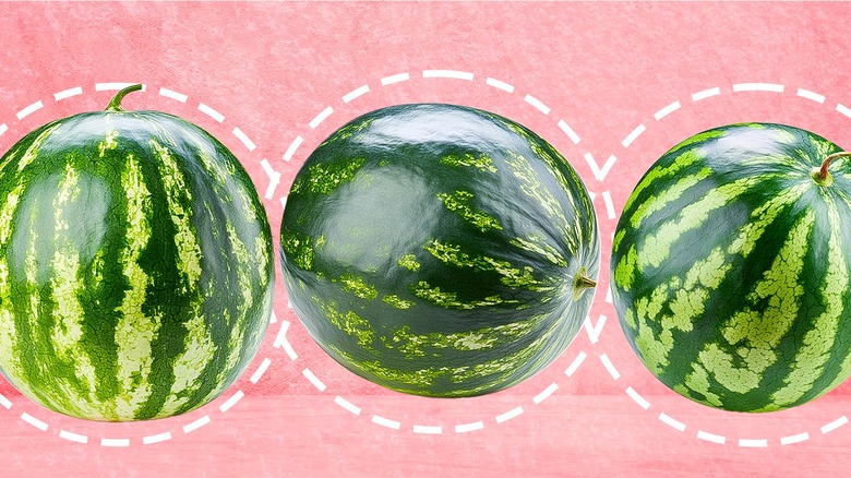 A pro chef shares 9 tips for picking out the perfect watermelon