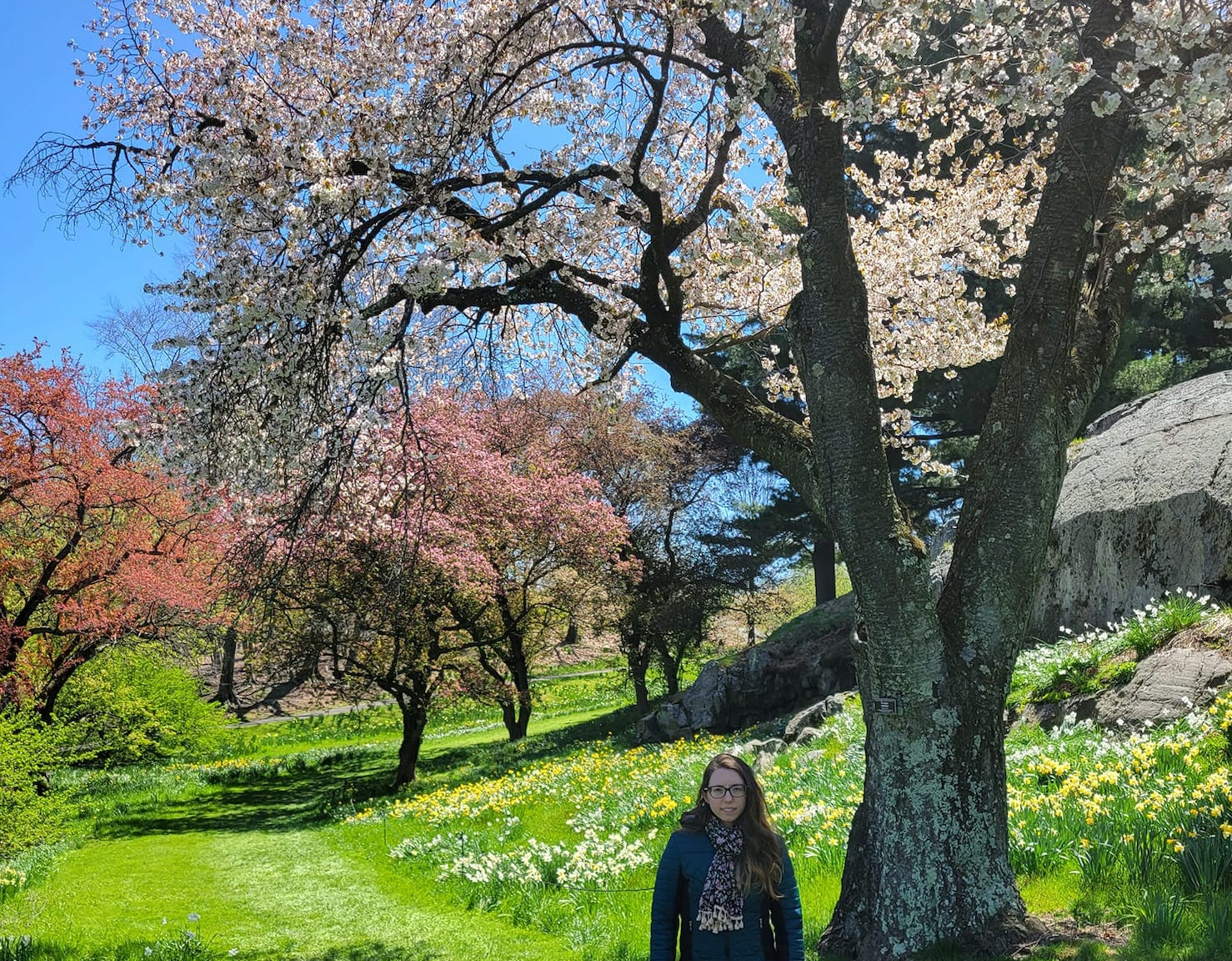 The writer standing in the New York Botanical Garden.