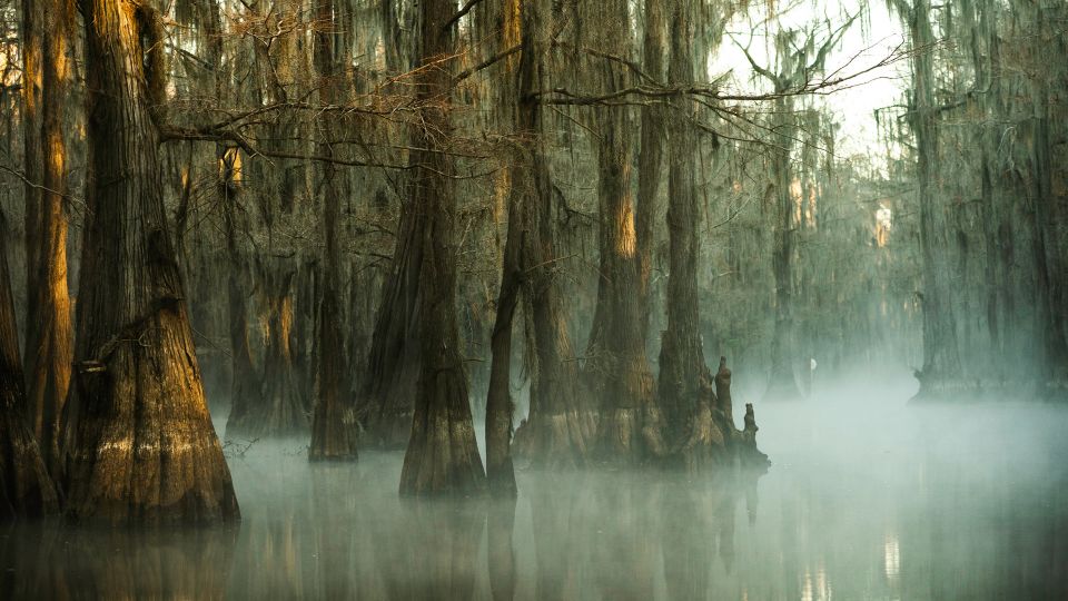 Caddo Lake in East Texas immerses visitors in the eerie atmosphere of a flooded bald cypress tree forest. - wanderluster/E+/Getty Images