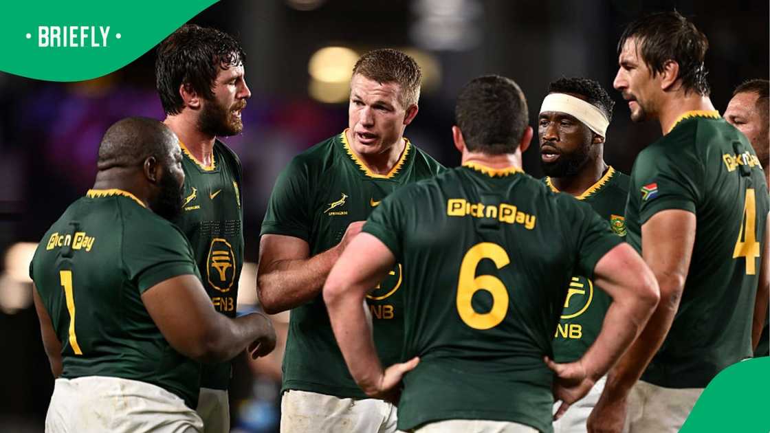 Jake White says Springboks are not invincible as he highlights one big ...