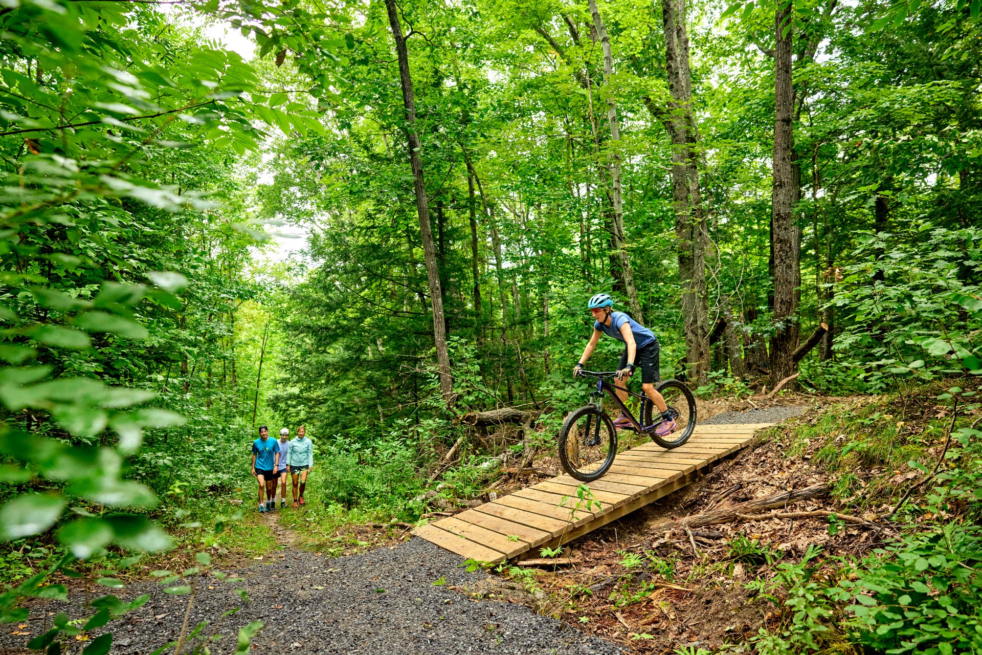 If you are search for wildlife, Maine has plenty of options - such as the Kennebec Valley