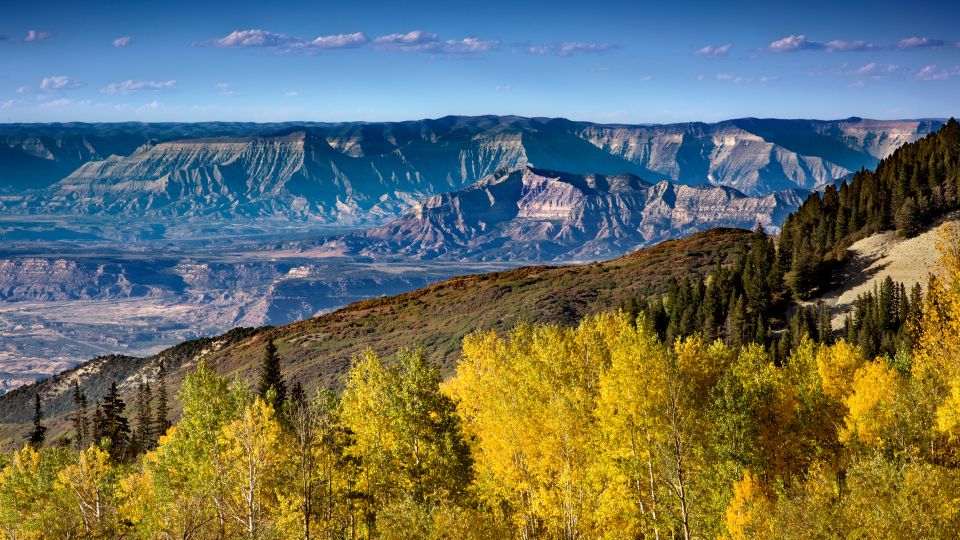 Colorado's famous Aspen trees are among the treasured sights for visitors to Grand Mesa National Forest in Western Colorado during the fall. - John Coletti/The Image Bank RF/Getty Images