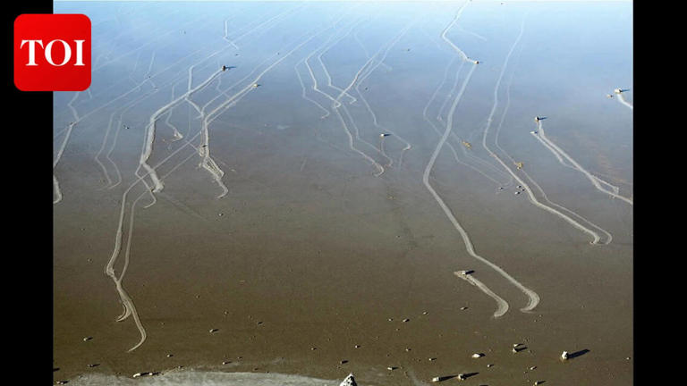 Rocks weighing 700 pounds slide across Death Valley without humans ...