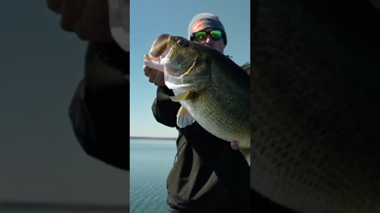 Watch a 12 pound monster bass explode